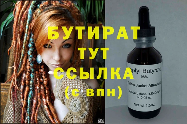 дмт Бородино