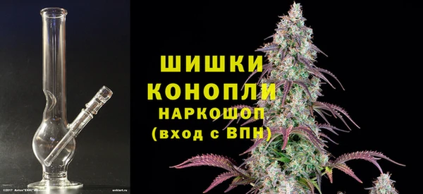 дмт Бородино