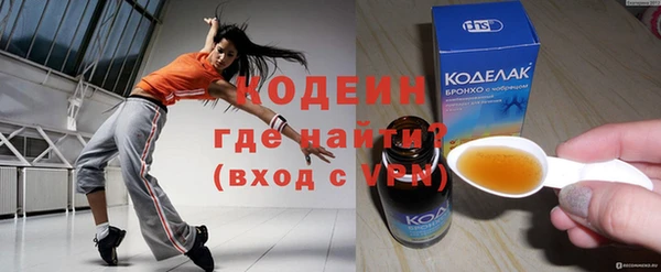 дмт Бородино