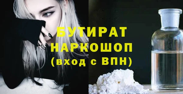 дмт Бородино