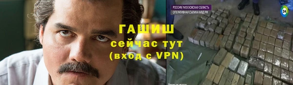дмт Бородино