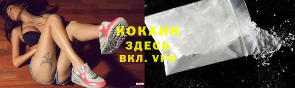 дмт Бородино
