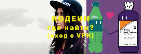дмт Бородино