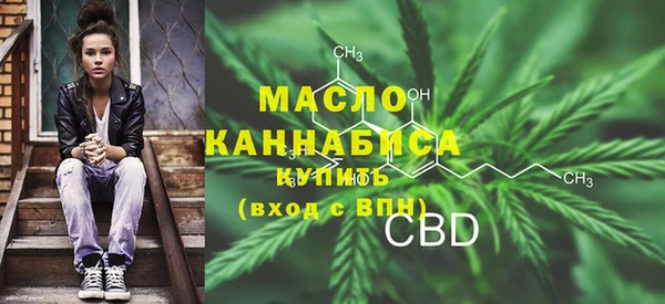 дмт Бородино